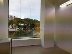 Centropod @ Changi (D14), Shop House #459574191